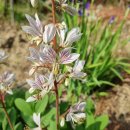 백선다방 이미지