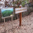 애니메이션고교 이미지