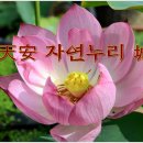 자연누리 이미지