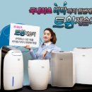 너도나도 이미지