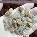 레메디움 이미지