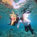 서부간선로 교통섬 | [발리여행_6] 누사페니다 2박3일 - 서부투어(브로큰비치,클링킹비치)/OK스노클링 만타투어 후기