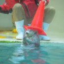 민브라더스 | 워너브라더스 100주년 기념 전시 막차 후기