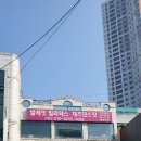 제이탄츠 | 지나리의 탄츠 관찰일지 #2