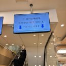감일튼튼약국 | 4월 4주 진정한 어른이 된 것 같은 혼밥