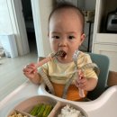 두무농장 | 12개월 아토피 아기 완료기 이유식 유아식 : 돼지고기, 참깨, 두부, 밀가루, 멸치, 감자