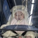 더바디스쿨 화원 | 인천 아인병원 마더비문화원 퍼니퍼니아기판다 아기 문센 후기 2