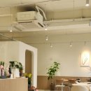 멜로우디(MELLOW:D) 이미지