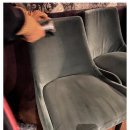 클린 원 | 화재청소부터 화재피해복구까지. 케어원 클린케어 이용 후기