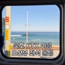 묵호역 | 묵호 KTX 이음 오션뷰 명당 좌석 예약 후기 &amp; 묵호역 물품보관함