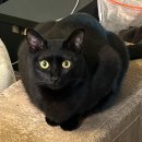 신촌큰집 | 2026년 2월 일기