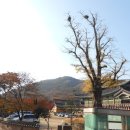 양산누리길 이미지