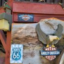 산속비버스 이미지