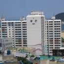 동삼동물병원 이미지
