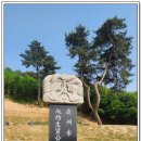 바른장묘 - 정읍시 중앙로 105-8 | 바른장묘