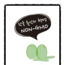 블링꼬꼬