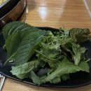 항아리닭갈비막국수 | 장지역 닭갈비 &lt;항아리닭갈비 막국수&gt; 후기 단체회식으로 좋은 맛집