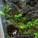 유어아일 이미지
