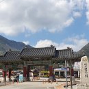 용문산 은행나무길(물소리길 6코스) 이미지