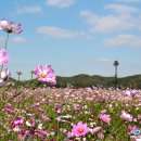 드림파크 이미지