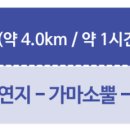 박준덕부부효열각 Daum카페