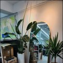 척척부동산공인중개사사무소 이미지