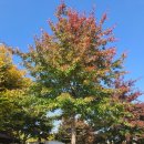 구미캠핑장 이미지