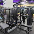 루트휘트니스 이미지