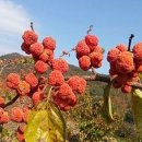 산음경로당 쿠키뉴스