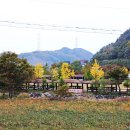 횡성 산울림오토캠핑장 이미지