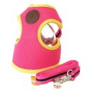 펫스토어 이미지