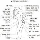 반디한의원 이미지