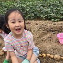 미미콕상점