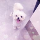 마로동물병원 이미지