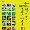 약이 되는 산야초 이미지