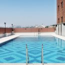 해밀톤수영장(실외) 이미지