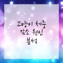 서울동물병원 이미지