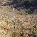 적량면사무소 이미지