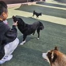 블루멍S 이미지