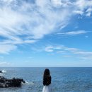 제주도 스테이블 본점 이미지