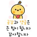 헬로밀가루부산사상점