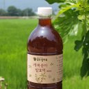 담촌장마을 | 농업의 6차 산업화에 대하여