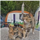 유쓰펜션 이미지