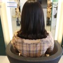 지니비치향 이미지