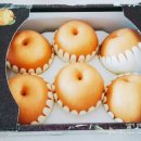 금배농장 이미지