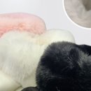 온앤옵 네이버블로그