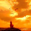 바다노을 이미지