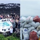 비양도의 비양나무자생지 이미지