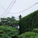 세븐일레븐 서귀포이중섭로점 | 제주 서귀포 이중섭미술관, 짧은 행복과 오랜 그리움이 남아있는 거리 여행