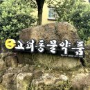 고려동물약품 이미지